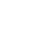 Peacock Bridge Dog Training